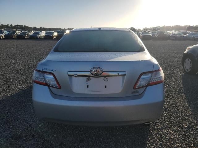 2010 Toyota Camry Hybrid