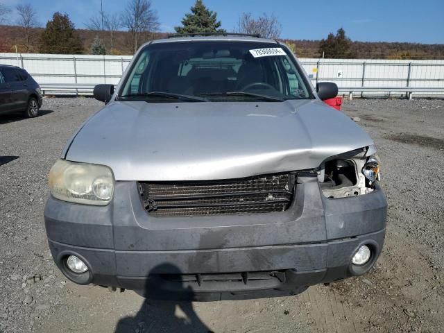 2007 Ford Escape XLT