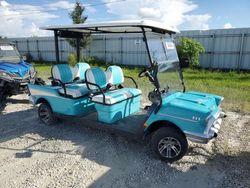 Flood-damaged cars for sale at auction: 2019 Asse Golf Cart