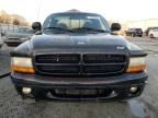 1999 Dodge Dakota