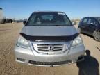 2008 Honda Odyssey EXL