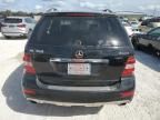 2009 Mercedes-Benz ML 350