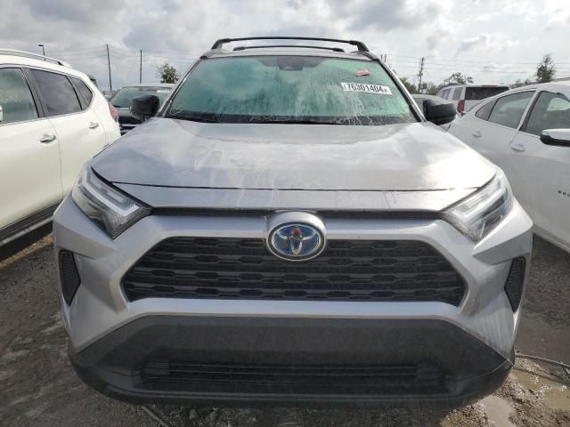 2023 Toyota Rav4 LE