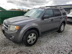 Salvage cars for sale at auction: 2010 Ford Escape XLT