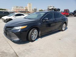 2020 Toyota Camry XLE en venta en New Orleans, LA