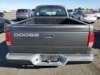 2002 Dodge Dakota Base