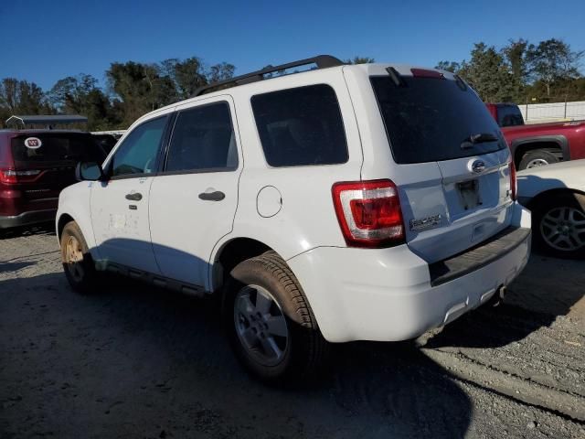 2012 Ford Escape XLT