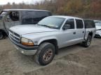 2004 Dodge Dakota Quad Sport