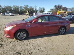 Salvage cars for sale at Baltimore, MD auction: 2011 Hyundai Sonata GLS