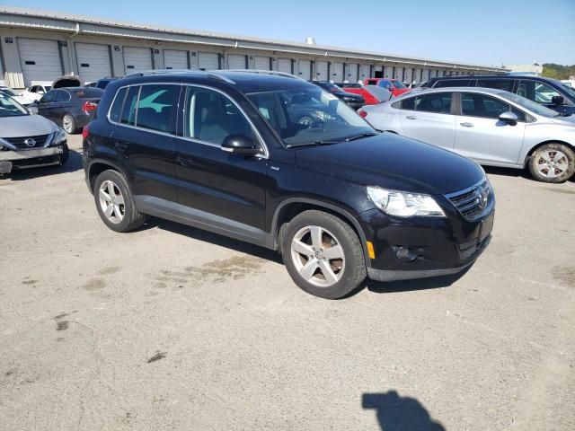 2010 Volkswagen Tiguan S