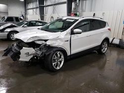 Salvage cars for sale at Ham Lake, MN auction: 2016 Ford Escape Titanium