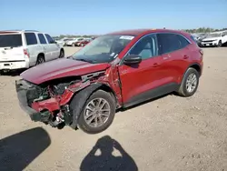 SUV salvage a la venta en subasta: 2022 Ford Escape SE