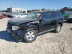 2012 Ford Escape XLS