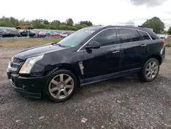 Cadillac salvage cars for sale: 2012 Cadillac SRX Performance Collection