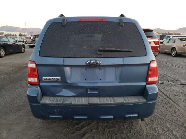 2010 Ford Escape XLT