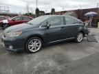 2010 Lexus HS 250H