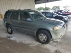 2007 Ford Escape XLS