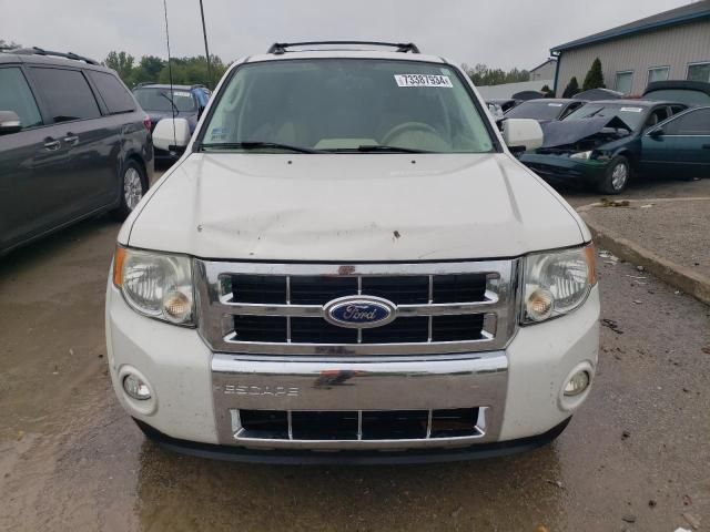 2011 Ford Escape Limited