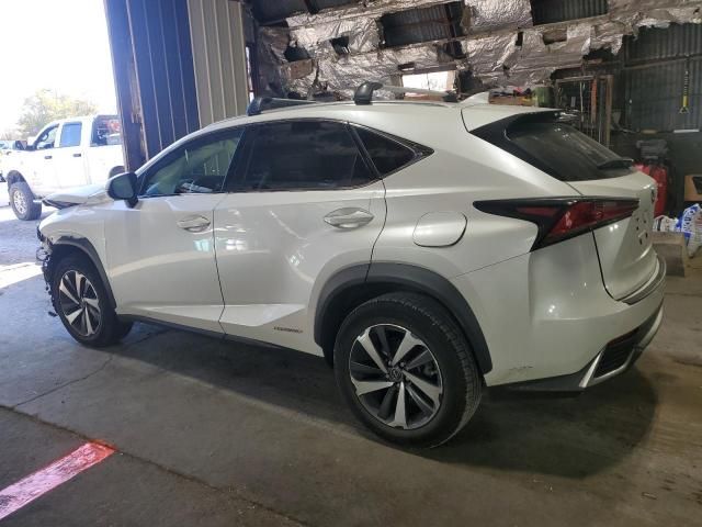 2019 Lexus NX 300H