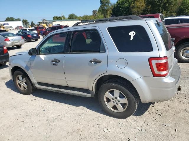 2011 Ford Escape XLT