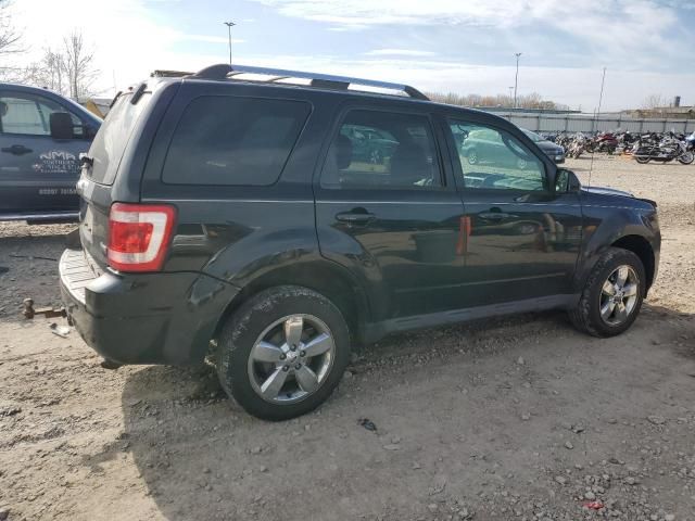 2011 Ford Escape Limited