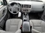 2005 Ford Escape XLT