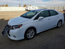 Carros híbridos a la venta en subasta: 2010 Lexus HS 250H