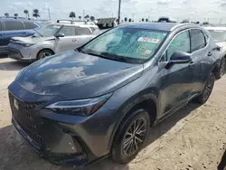 Lexus nx 250 pre salvage cars for sale: 2024 Lexus NX 250 Premium