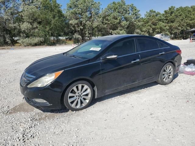 2011 Hyundai Sonata SE