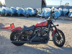 Salvage motorcycles for sale at Riverview, FL auction: 2019 Harley-Davidson XL883 N