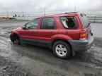 2005 Ford Escape XLT