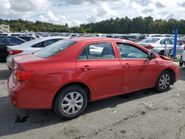 2010 Toyota Corolla Base