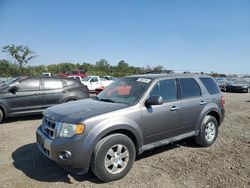 Salvage cars for sale at Des Moines, IA auction: 2012 Ford Escape Limited