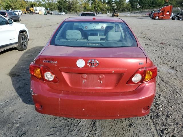 2010 Toyota Corolla Base