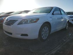 Toyota salvage cars for sale: 2009 Toyota Camry Hybrid