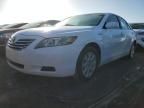 2009 Toyota Camry Hybrid