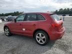 2010 Audi Q5 Prestige