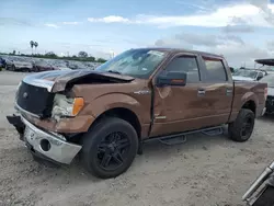 Salvage cars for sale at Corpus Christi, TX auction: 2011 Ford F150 Supercrew