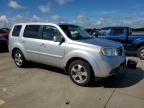 2014 Honda Pilot EXL