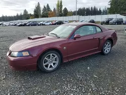 2004 Ford Mustang GT en venta en Graham, WA