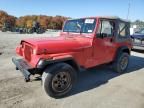 1993 Jeep Wrangler / YJ S