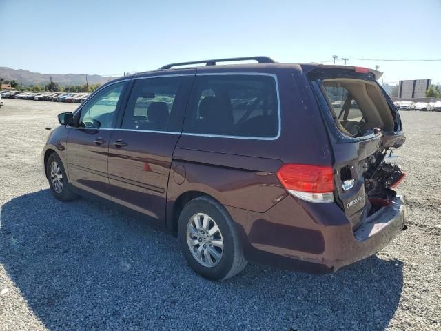 2010 Honda Odyssey EXL