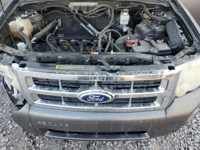 2010 Ford Escape XLS