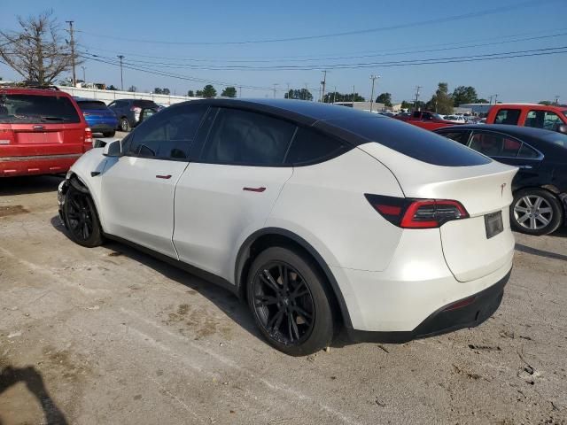 2020 Tesla Model Y