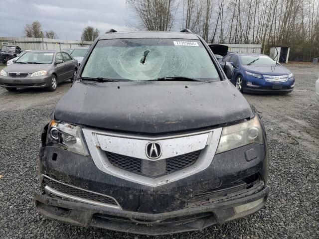 2010 Acura MDX Advance