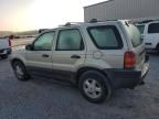 2004 Ford Escape XLS