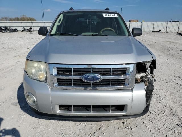 2009 Ford Escape XLT