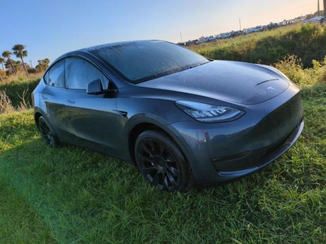 2020 Tesla Model Y