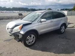 Salvage cars for sale at Dunn, NC auction: 2010 Honda CR-V EXL