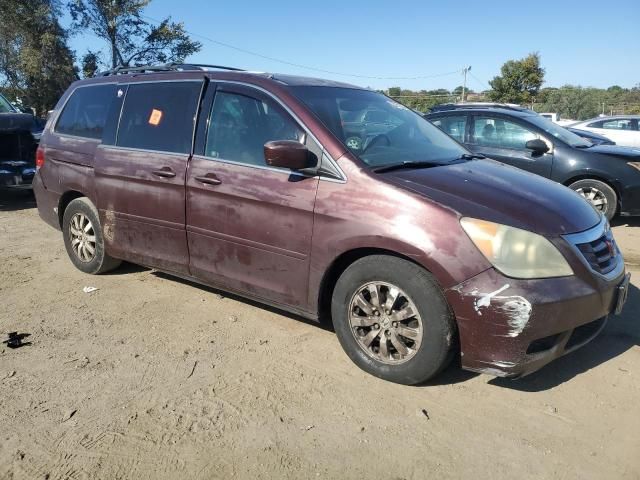 2010 Honda Odyssey EXL